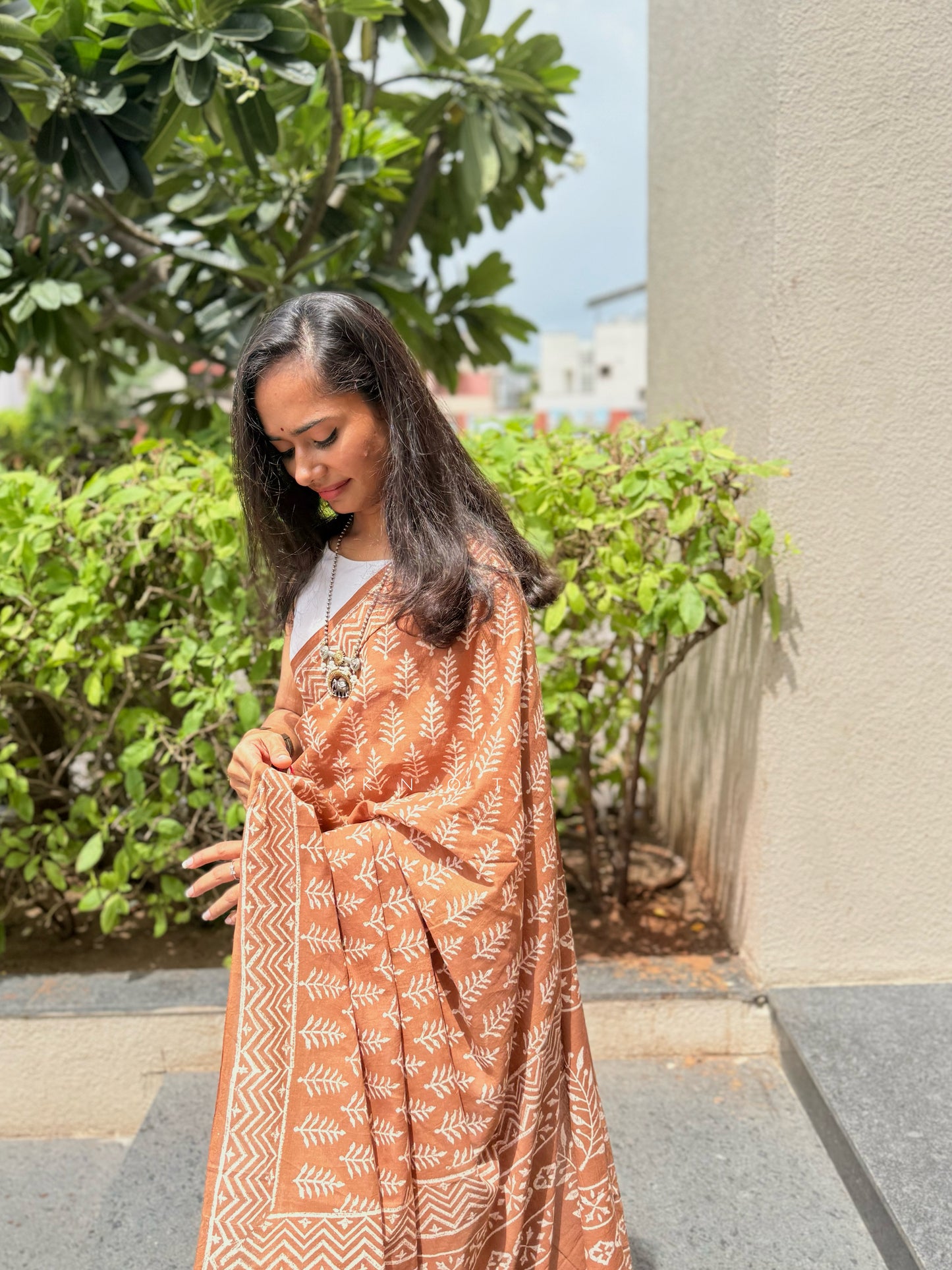 Biscoff Beauty Saree