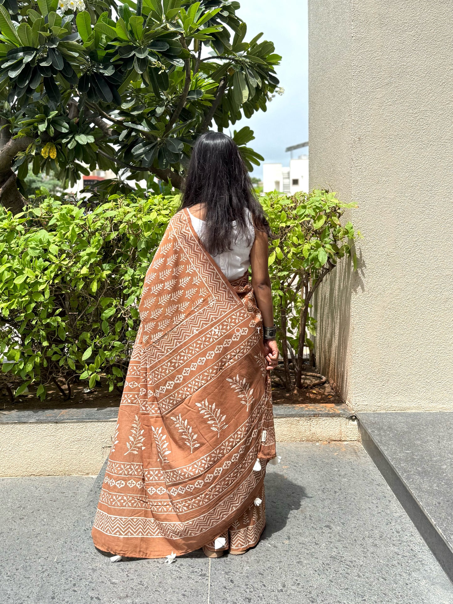 Biscoff Beauty Saree