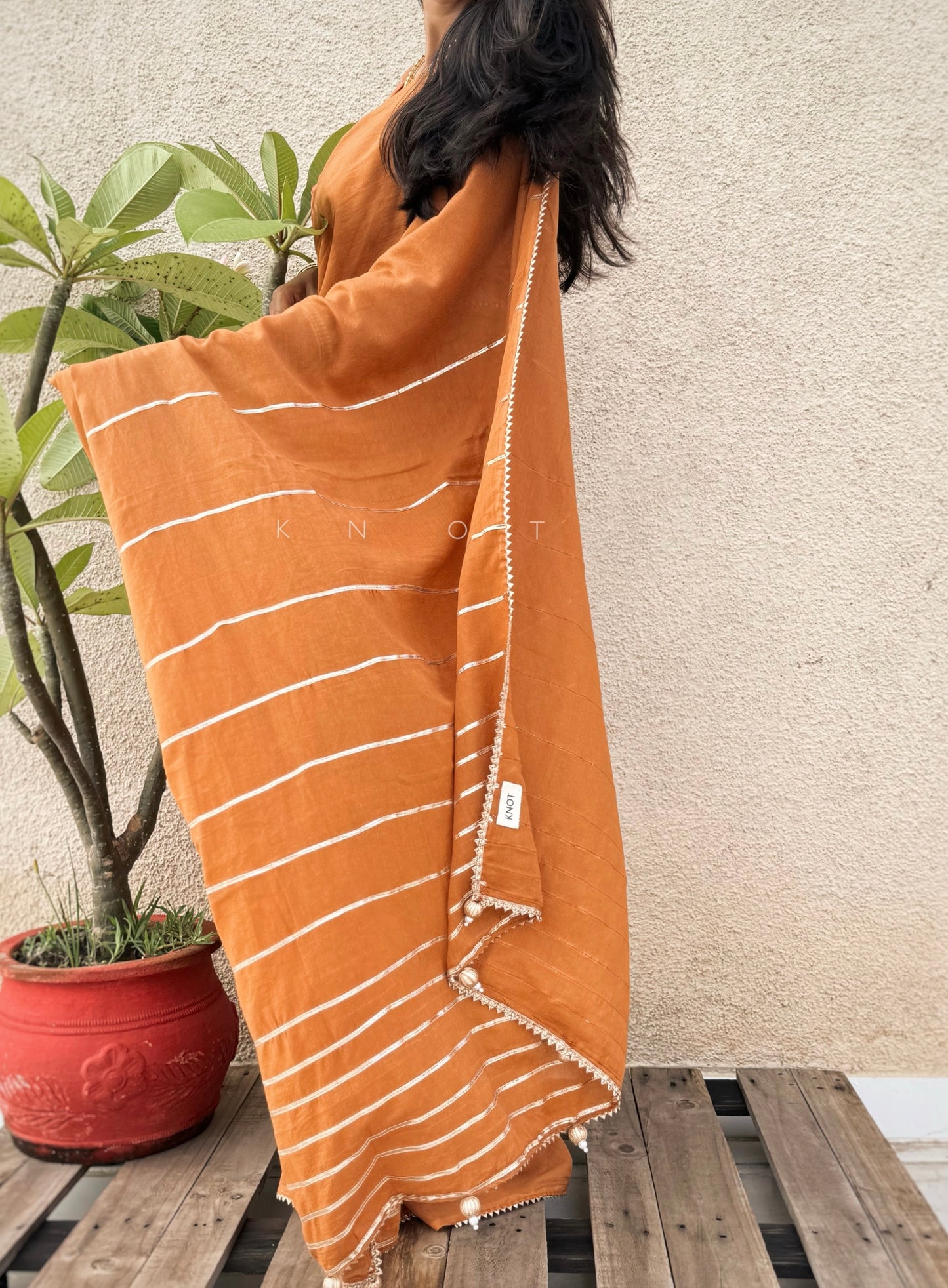 Anjeer Halwa Saree