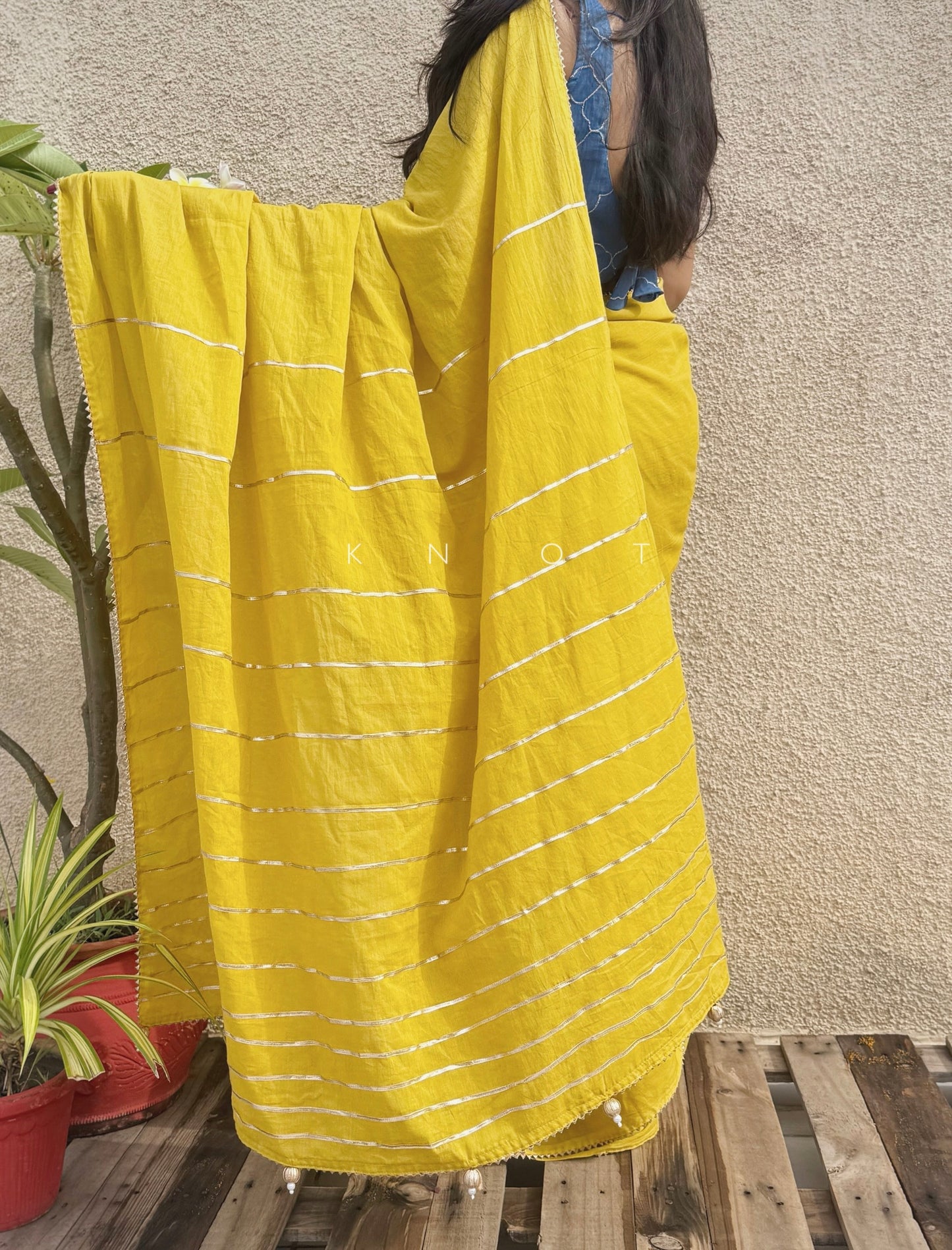 Mango Phirni Saree