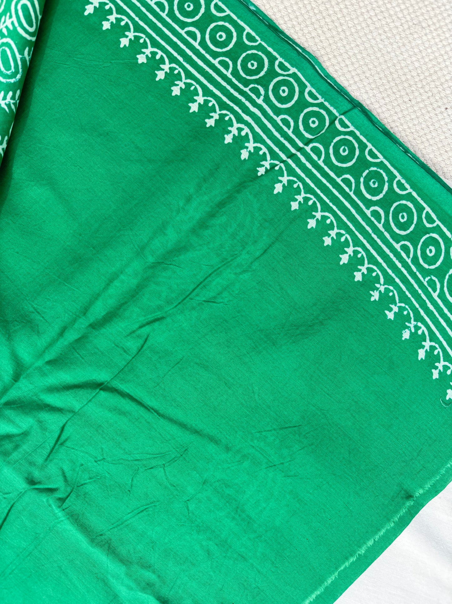 Paisley Garden Saree