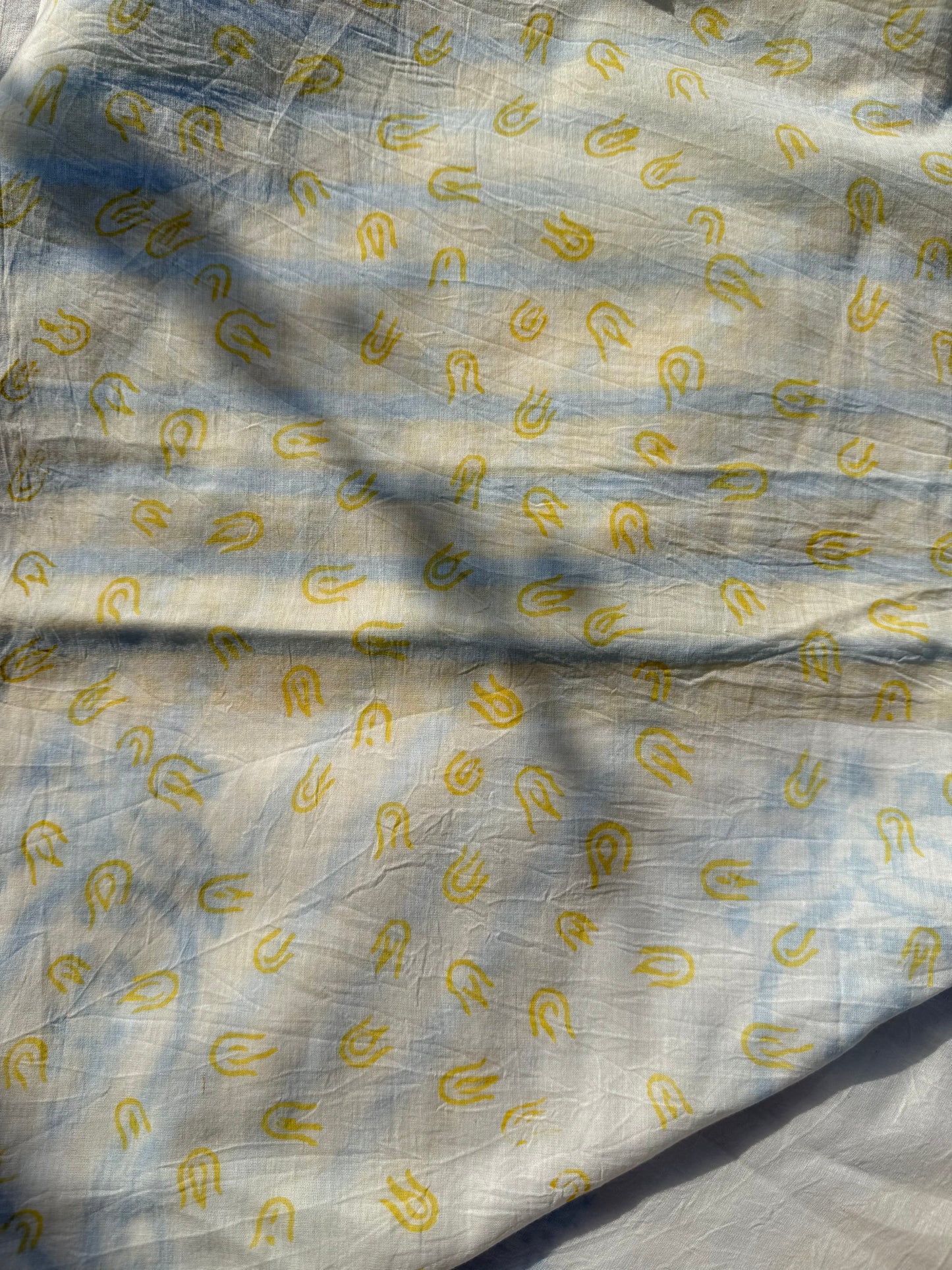 Ivory Paisley Saree