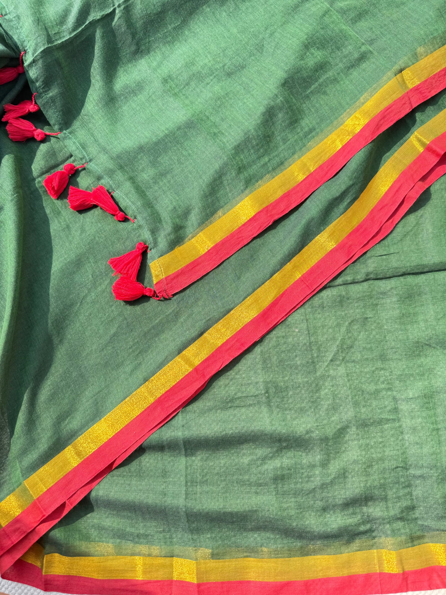 Forest Border Saree
