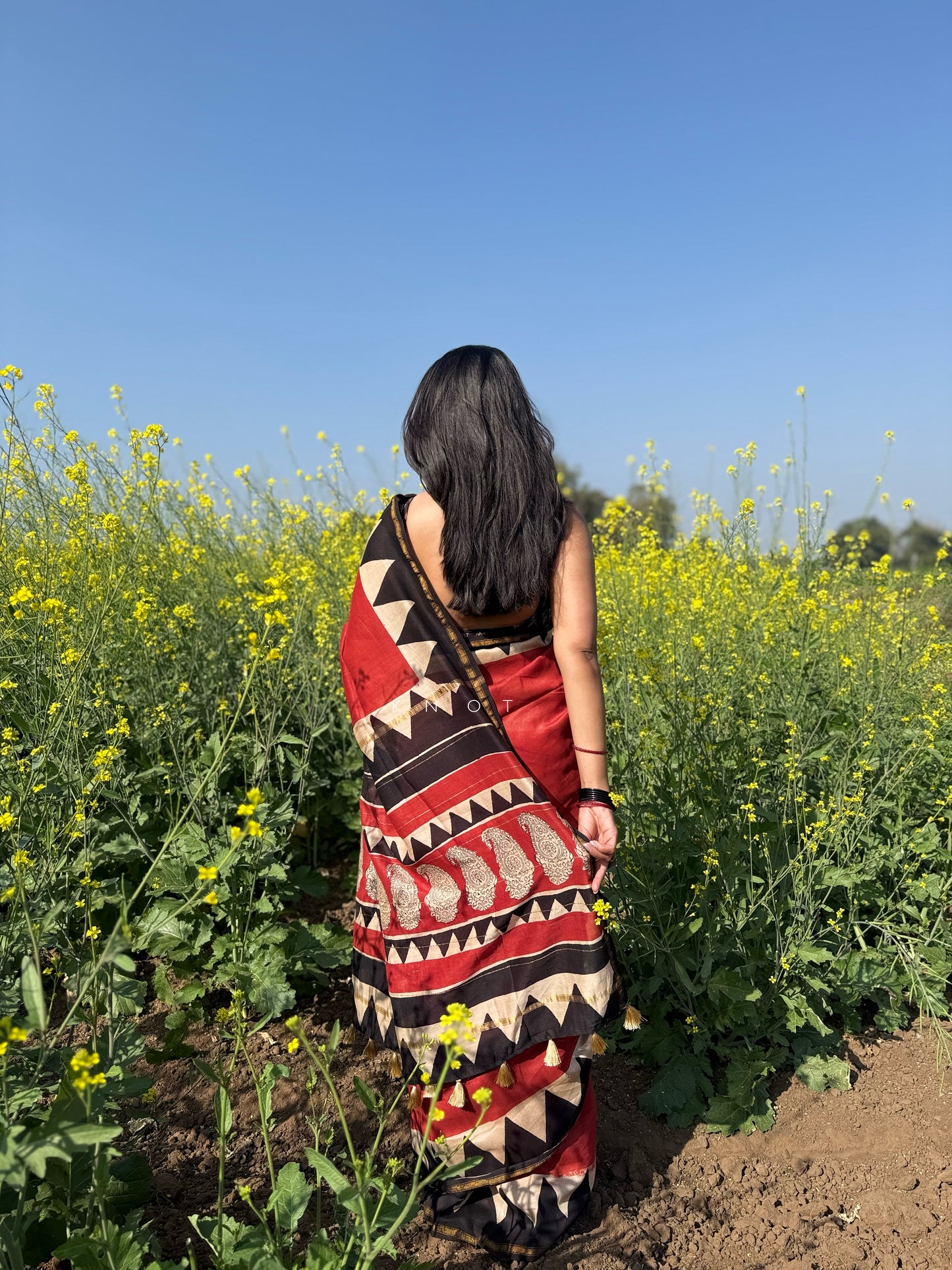 Classic Dahlia Saree