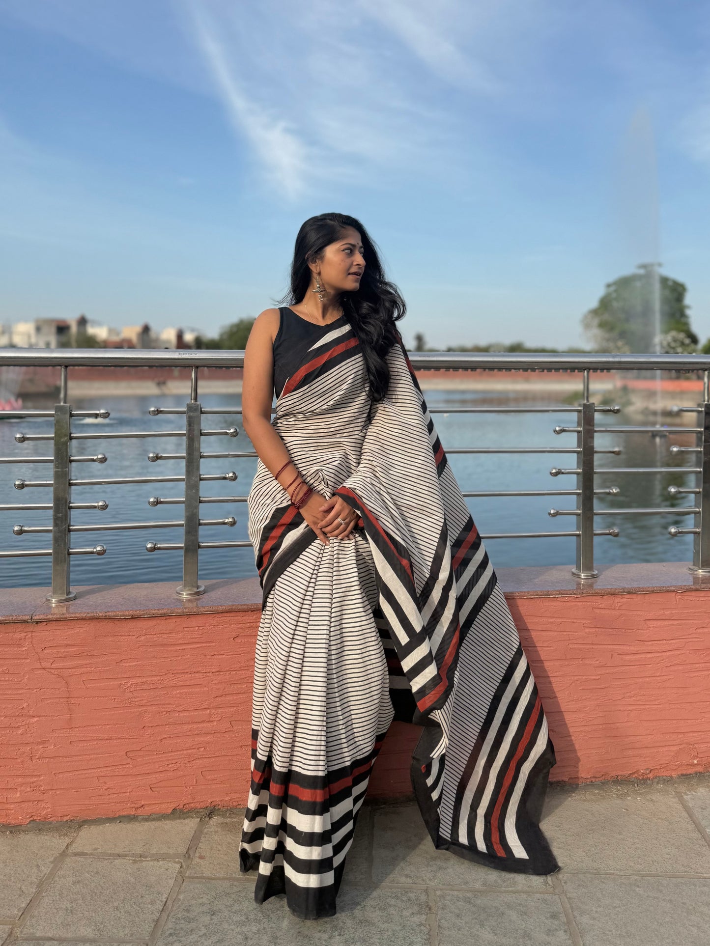 Charcoal Stripe Saree