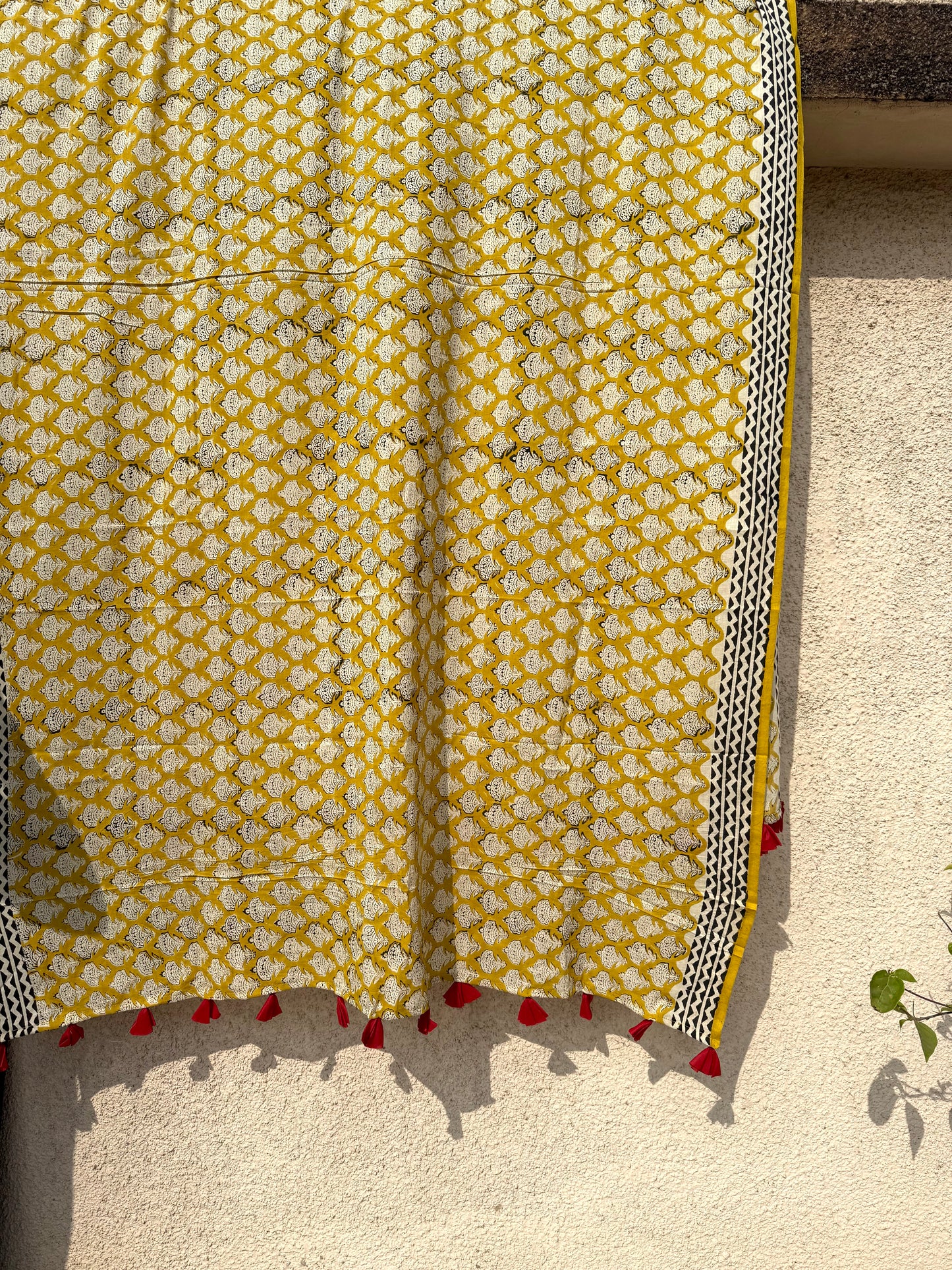Sun Cotton Dupatta