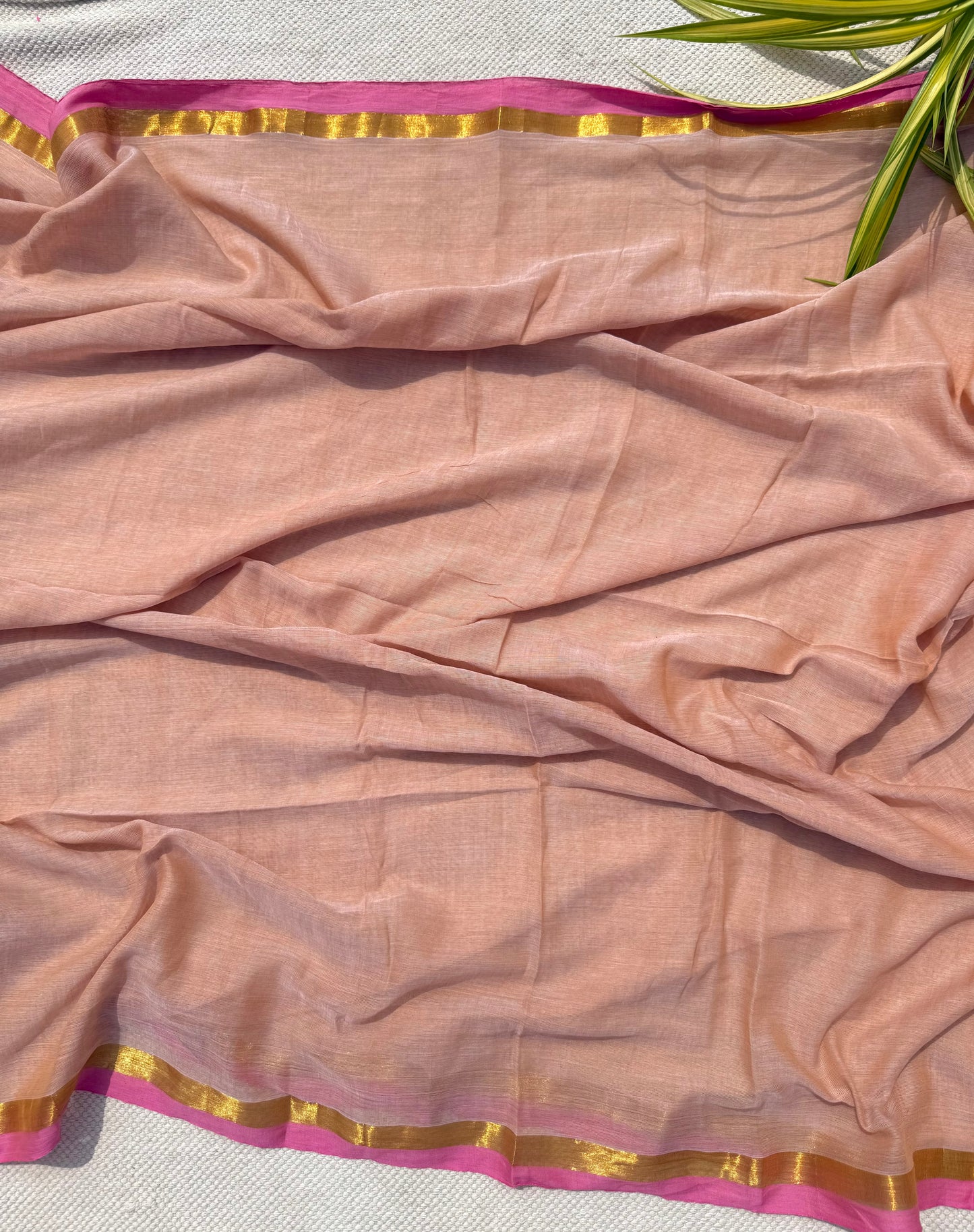 Salmon Border Saree