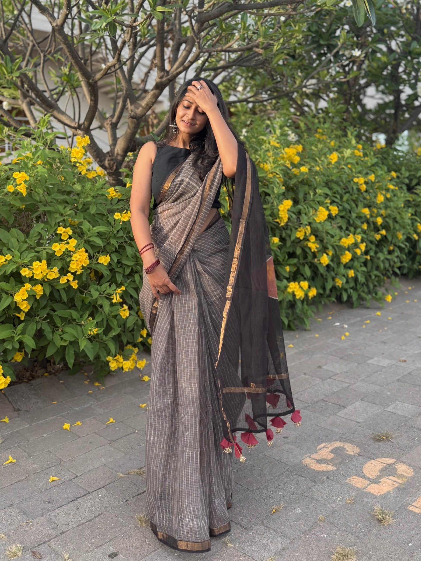 Mystic Stripe Saree