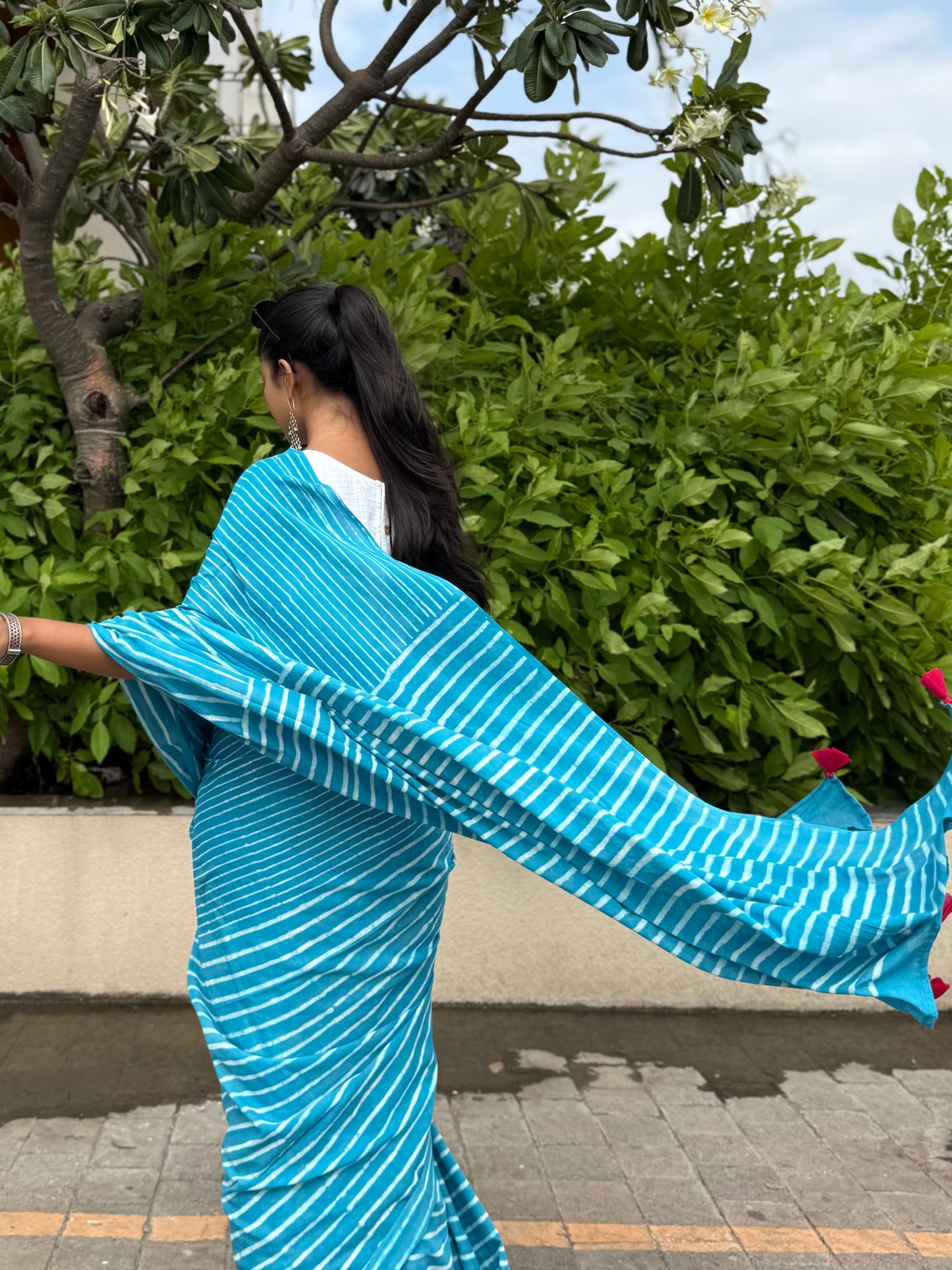 Sky Stripe Saree