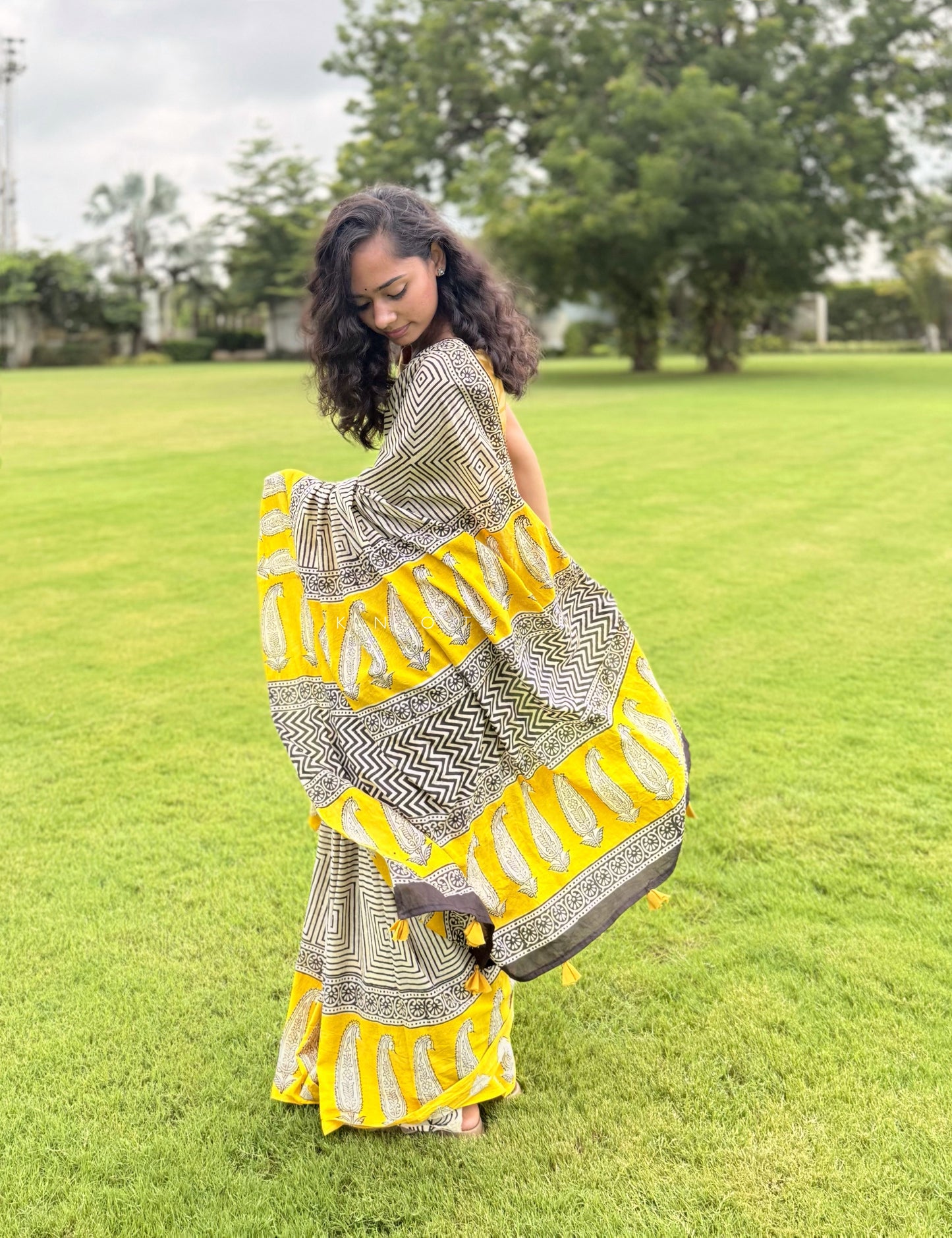Paisley Farm Saree