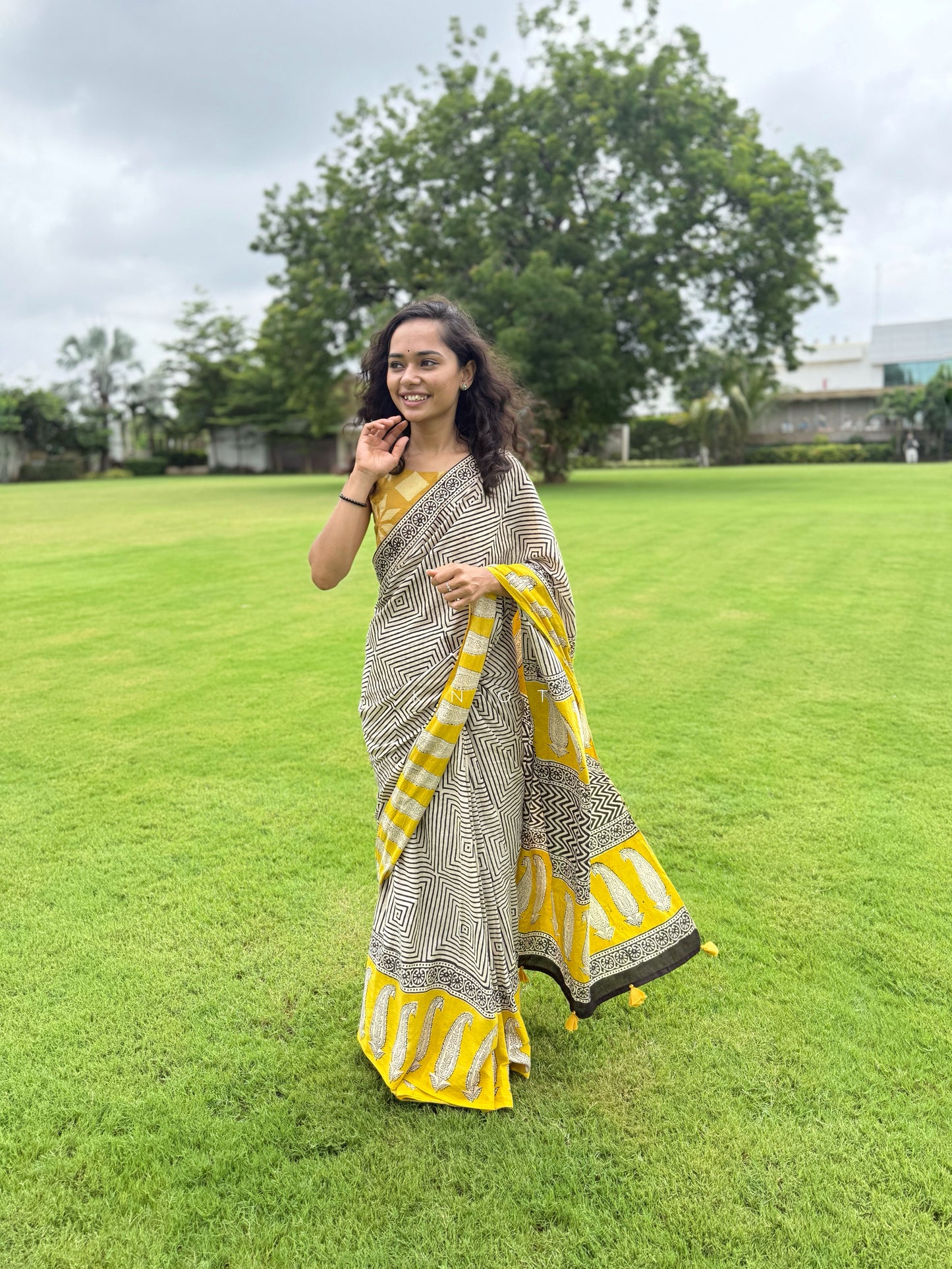 Paisley Farm Saree