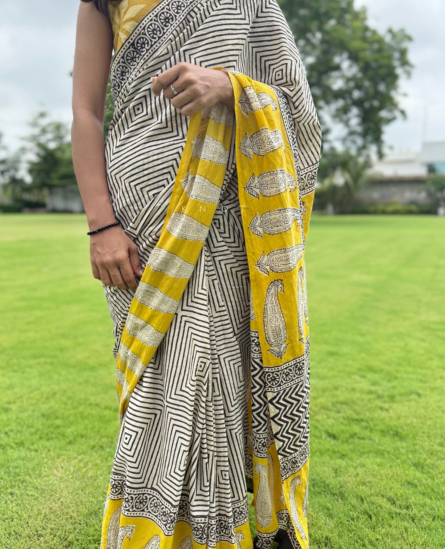Paisley Farm Saree