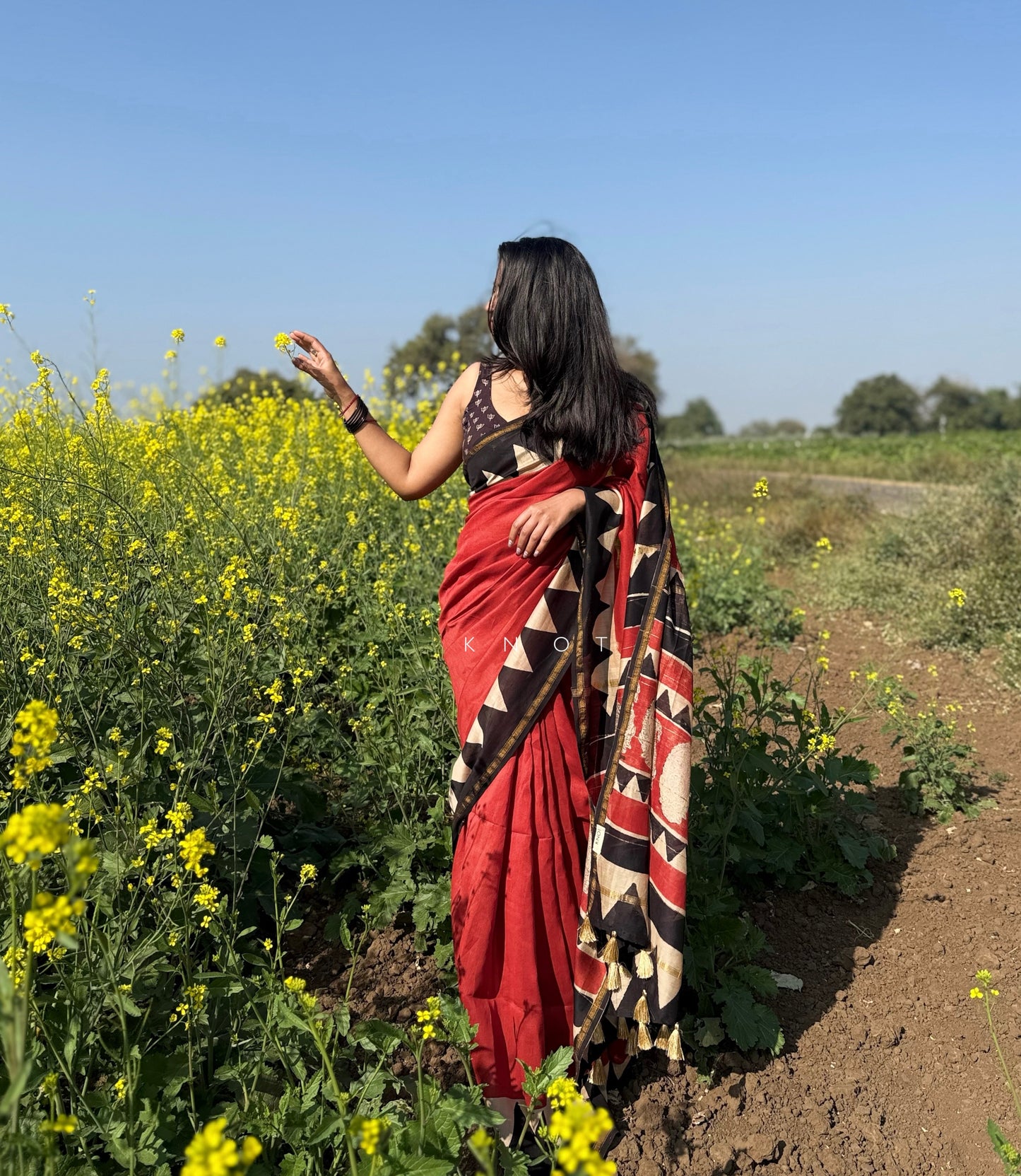 Classic Dahlia Saree
