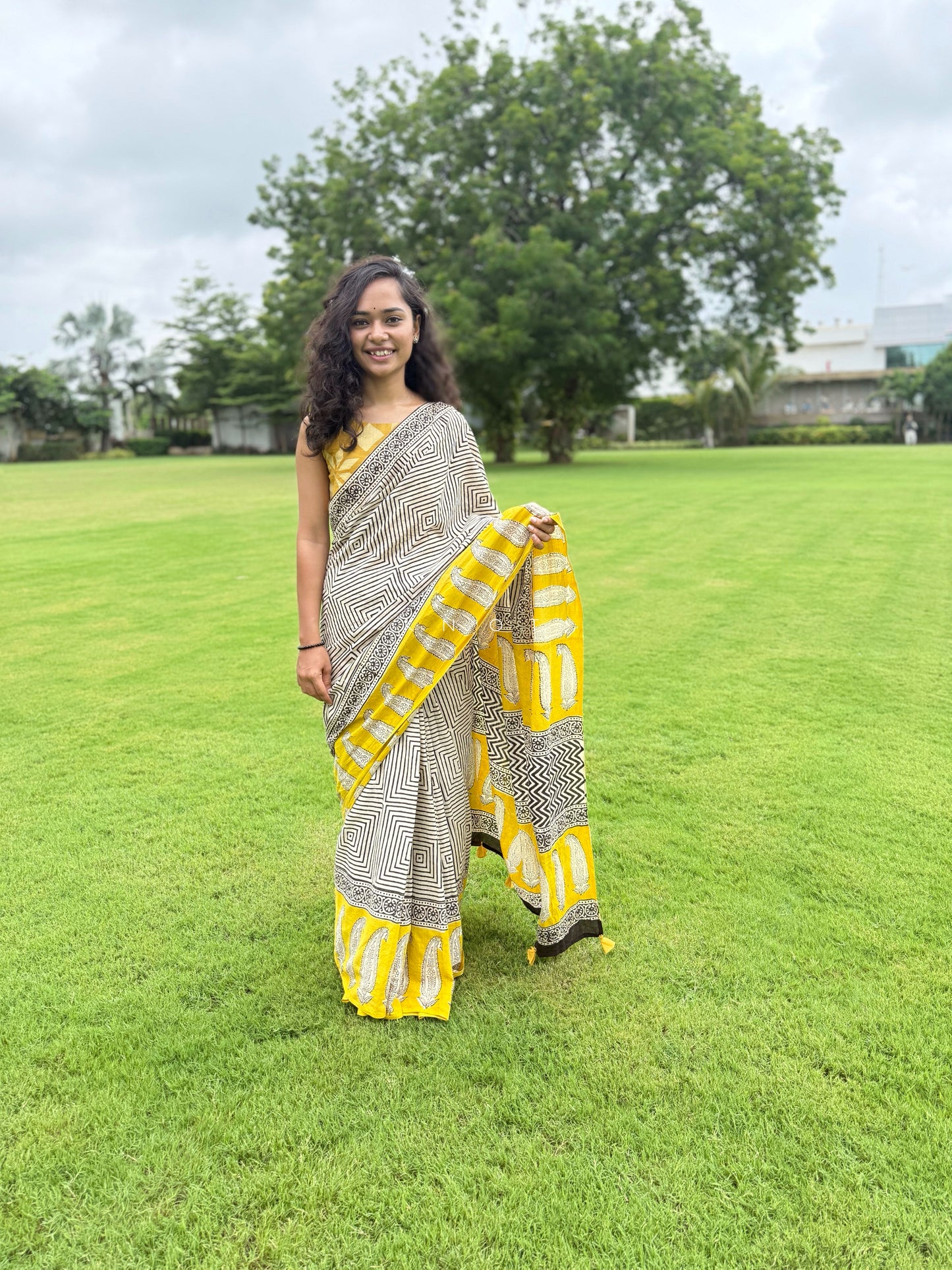 Paisley Farm Saree