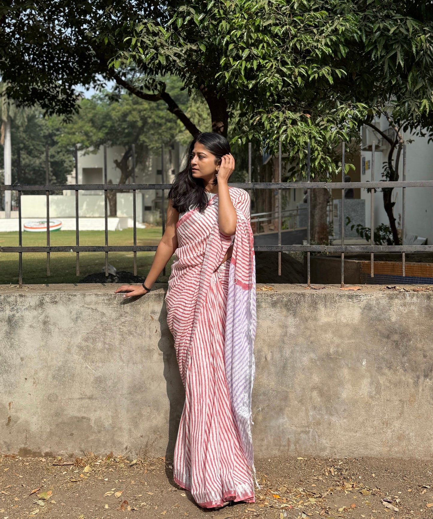 Cherry Striped Saree