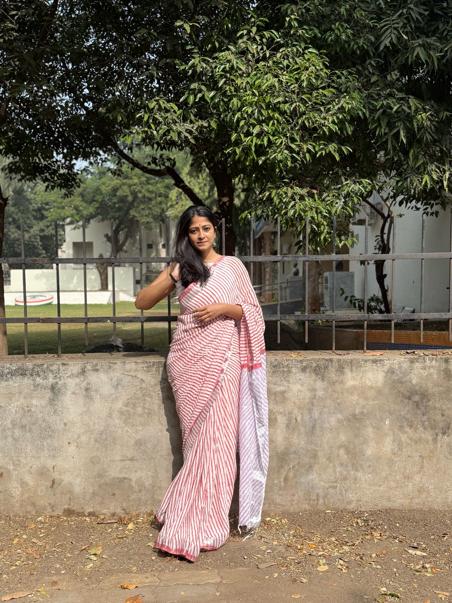 Cherry Striped Saree