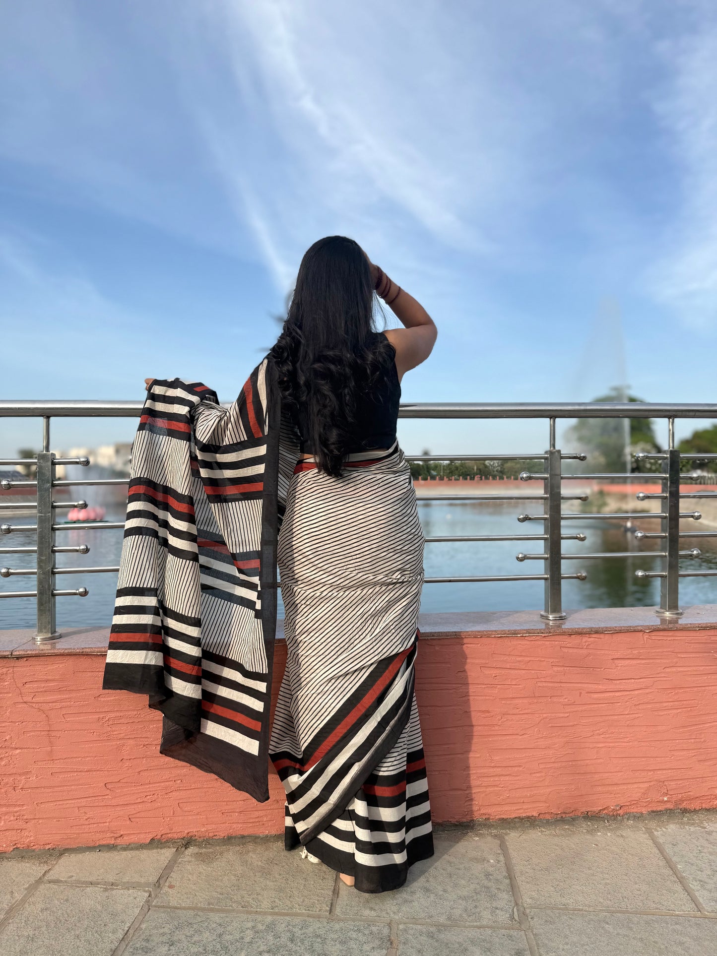 Charcoal Stripe Saree