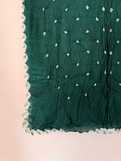 Forest Bandhani Dupatta