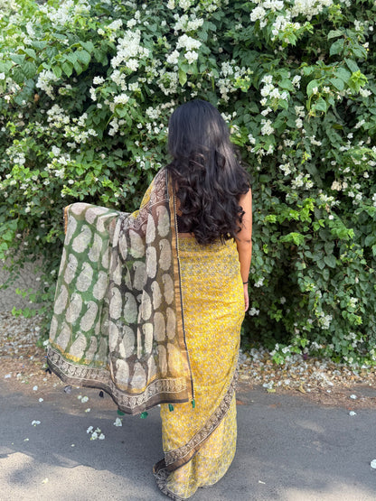 Sun love Saree
