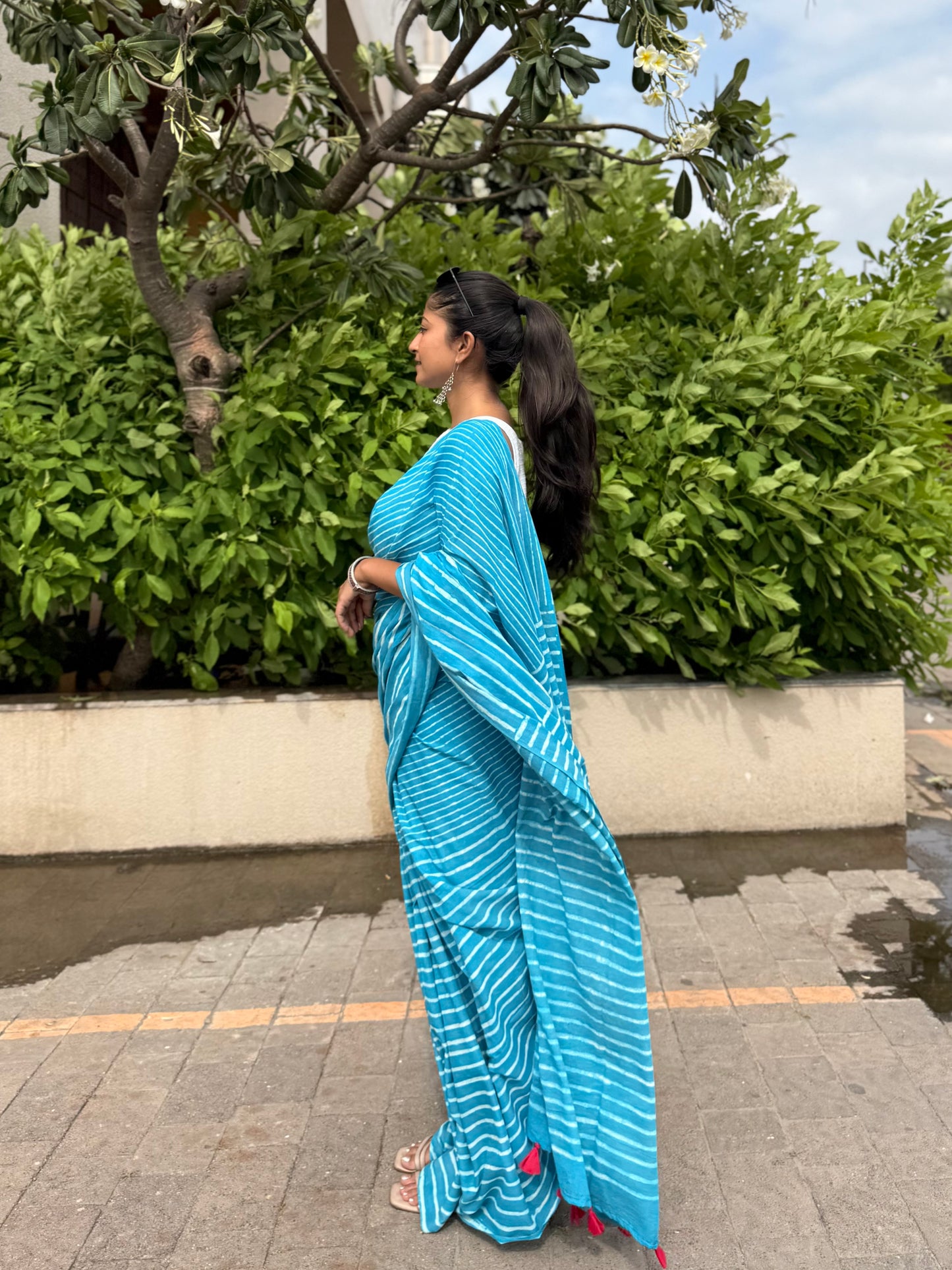 Sky Stripe Saree