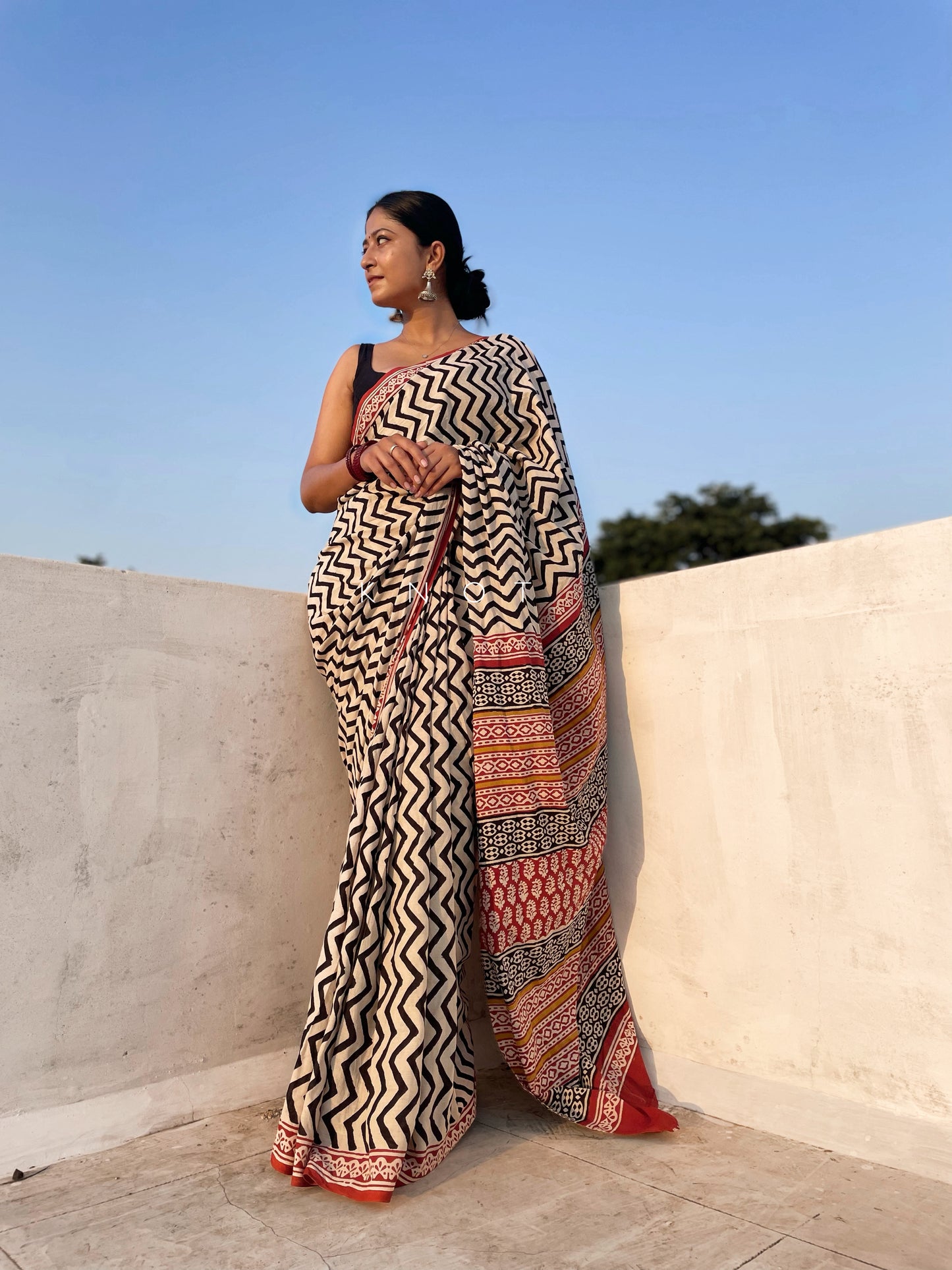 Classic Chevron Saree