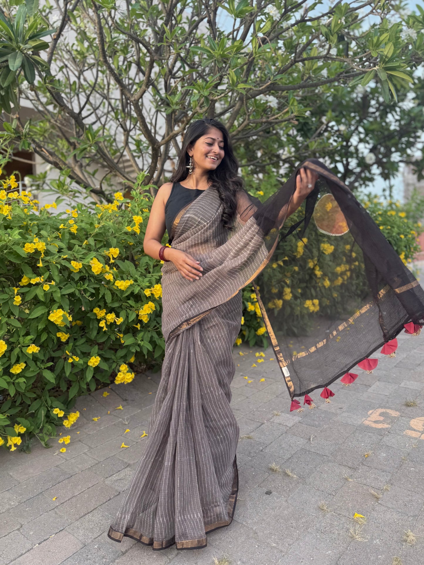 Mystic Stripe  Saree