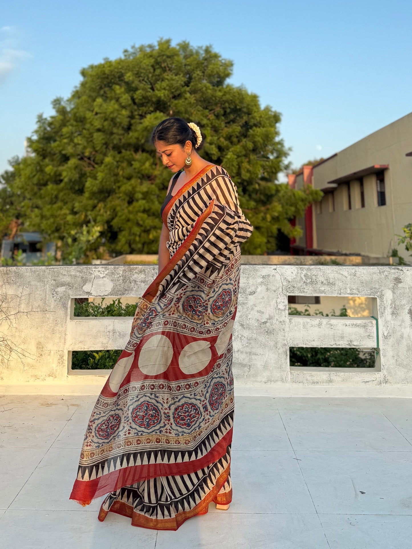 Damini Saree
