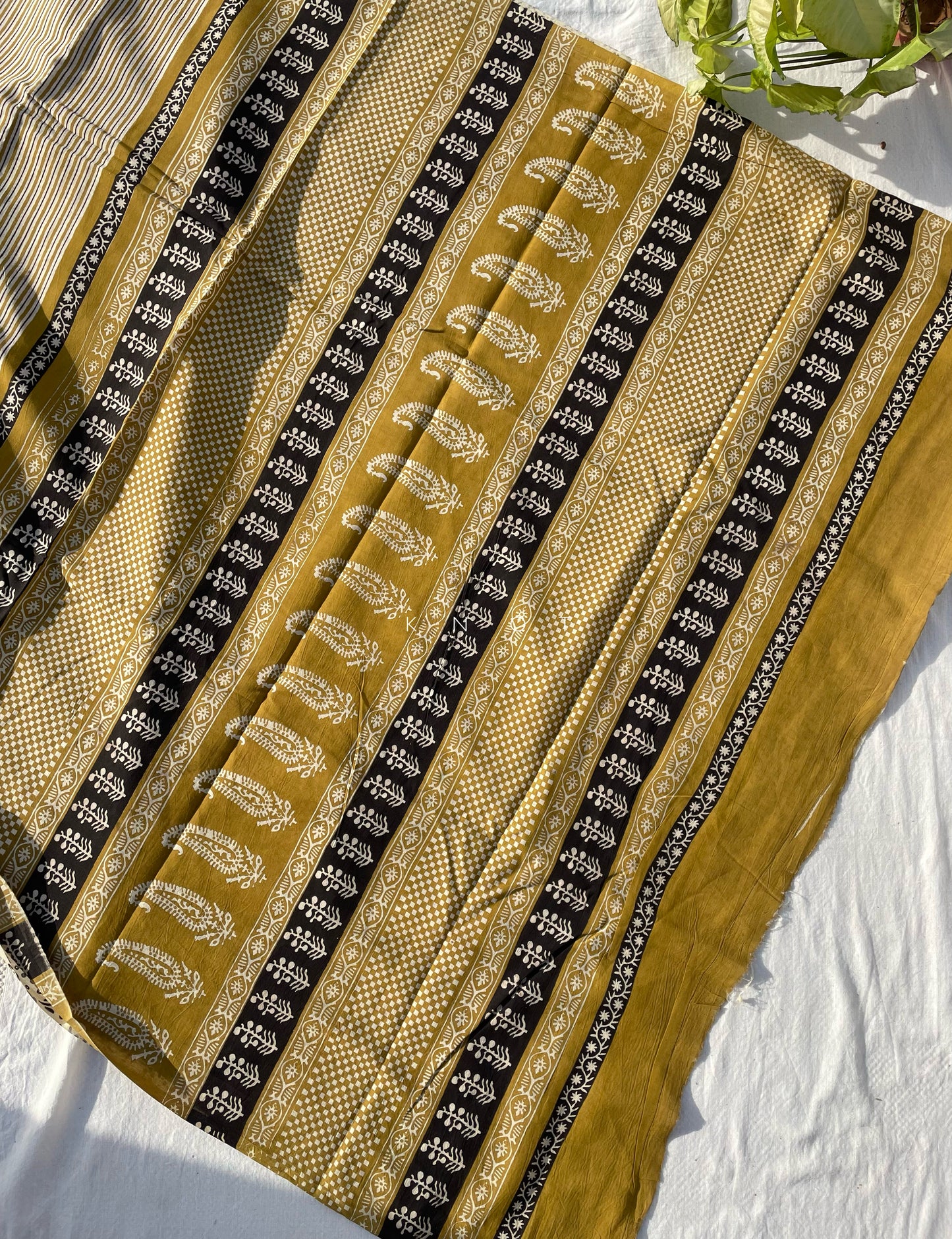 Corn Stripe Saree