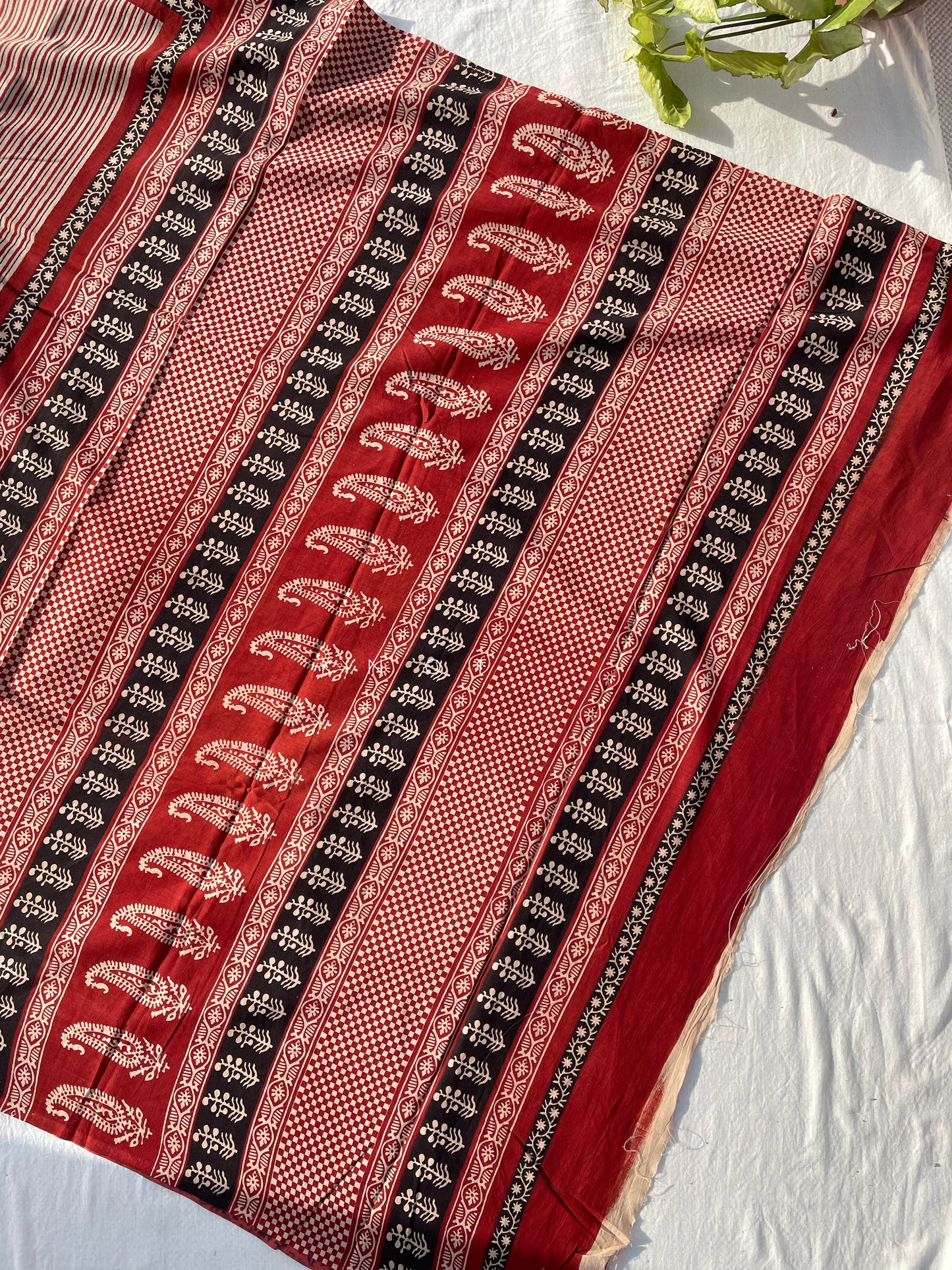 Chilli Stripe Saree