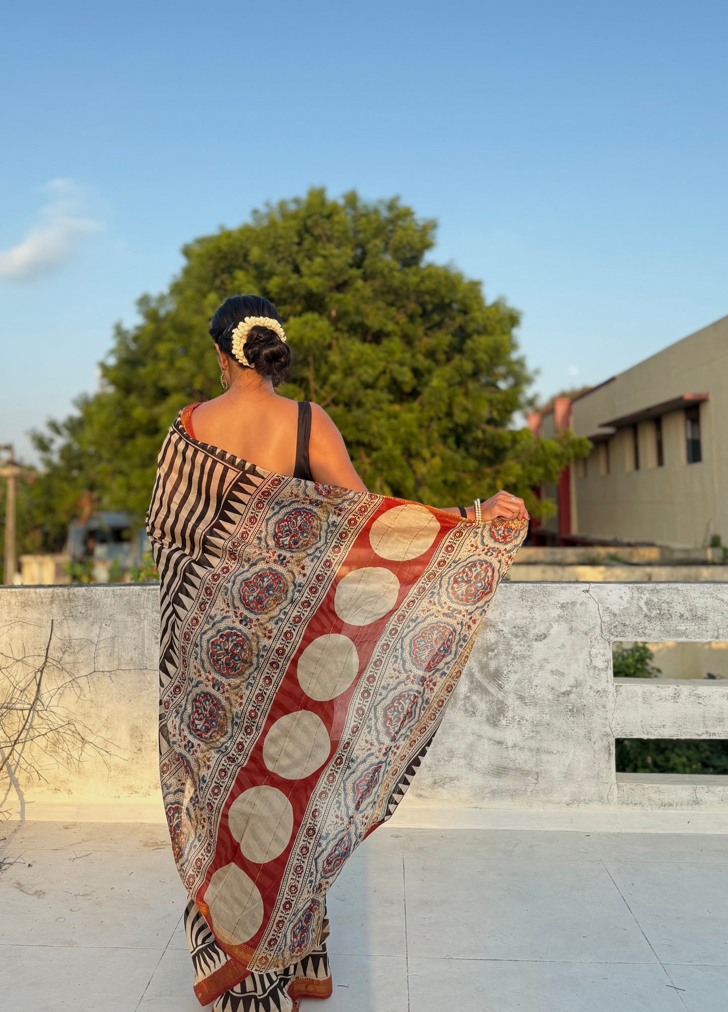 Damini Saree