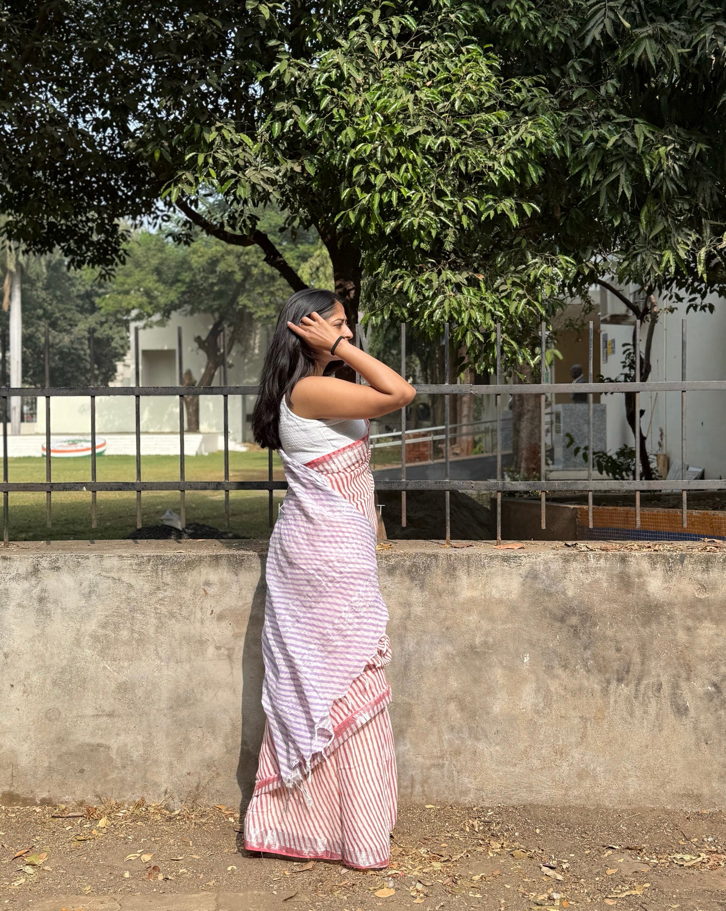 Cherry Striped Saree