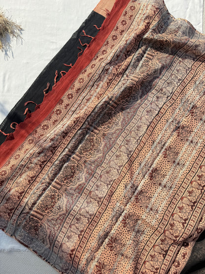 Carbon Border Saree