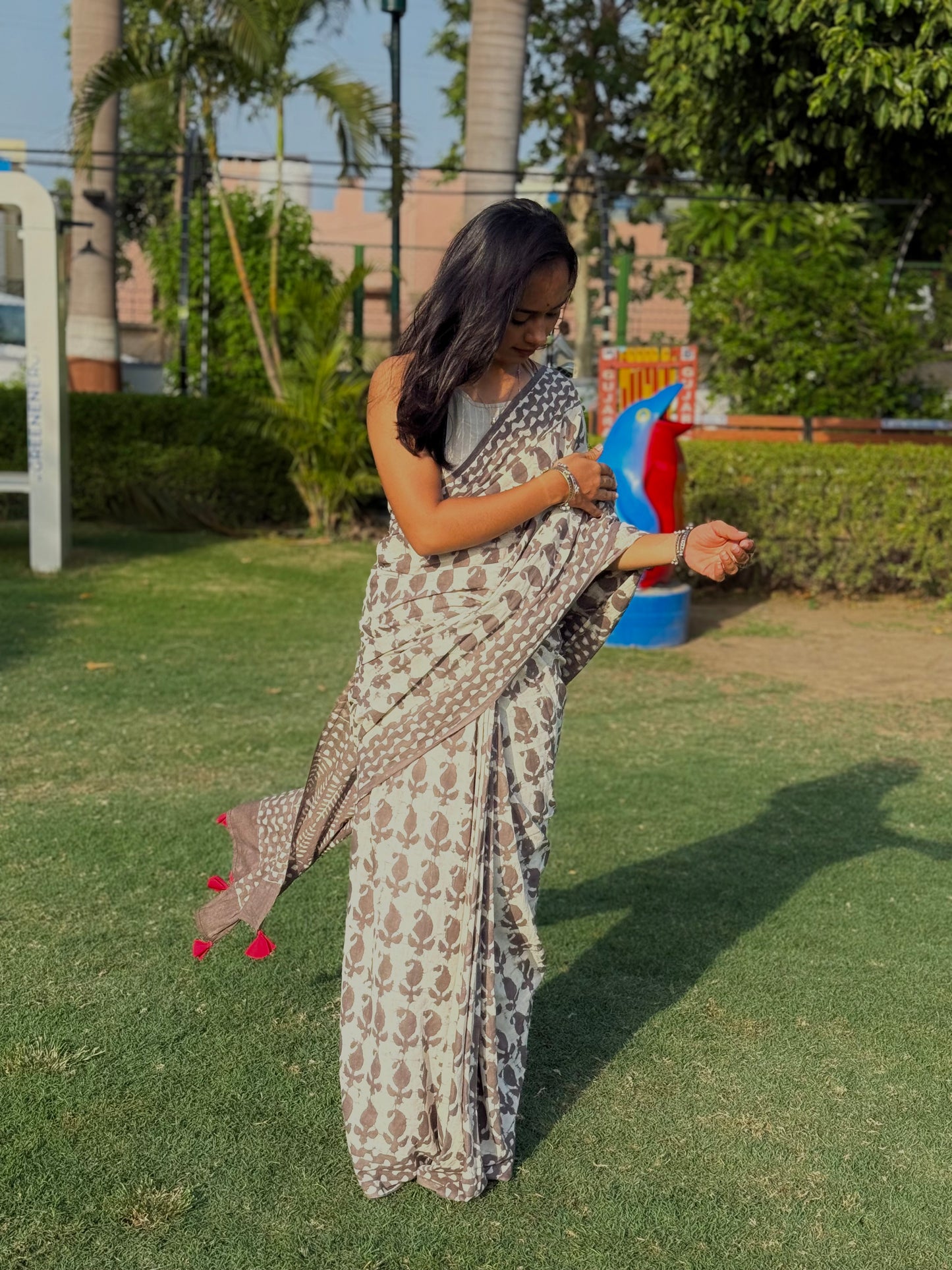Paisley Mist Saree