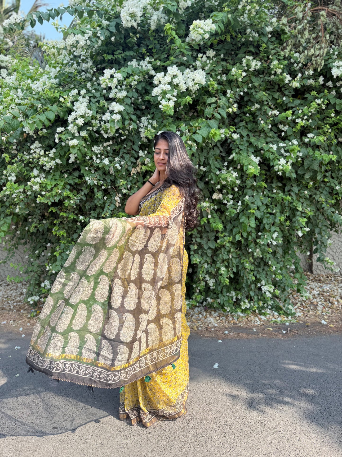 Sun love Saree