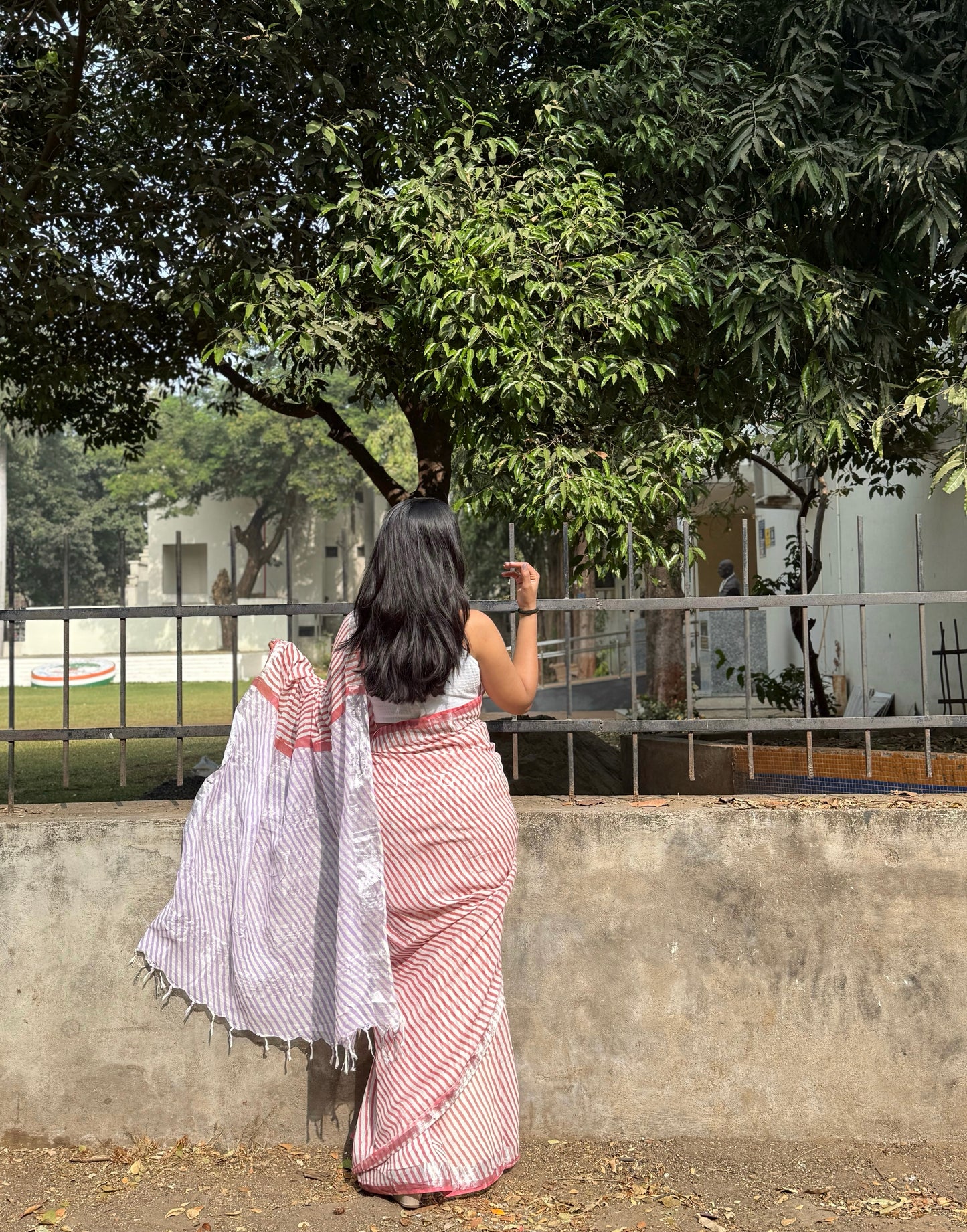 Cherry Striped Saree