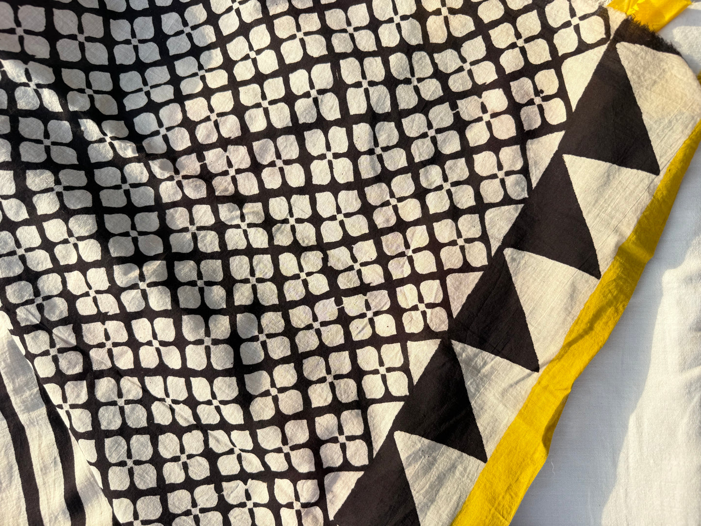 Echo Stripe Saree