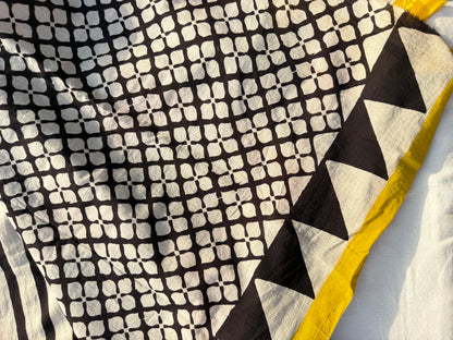 Echo Stripe Saree