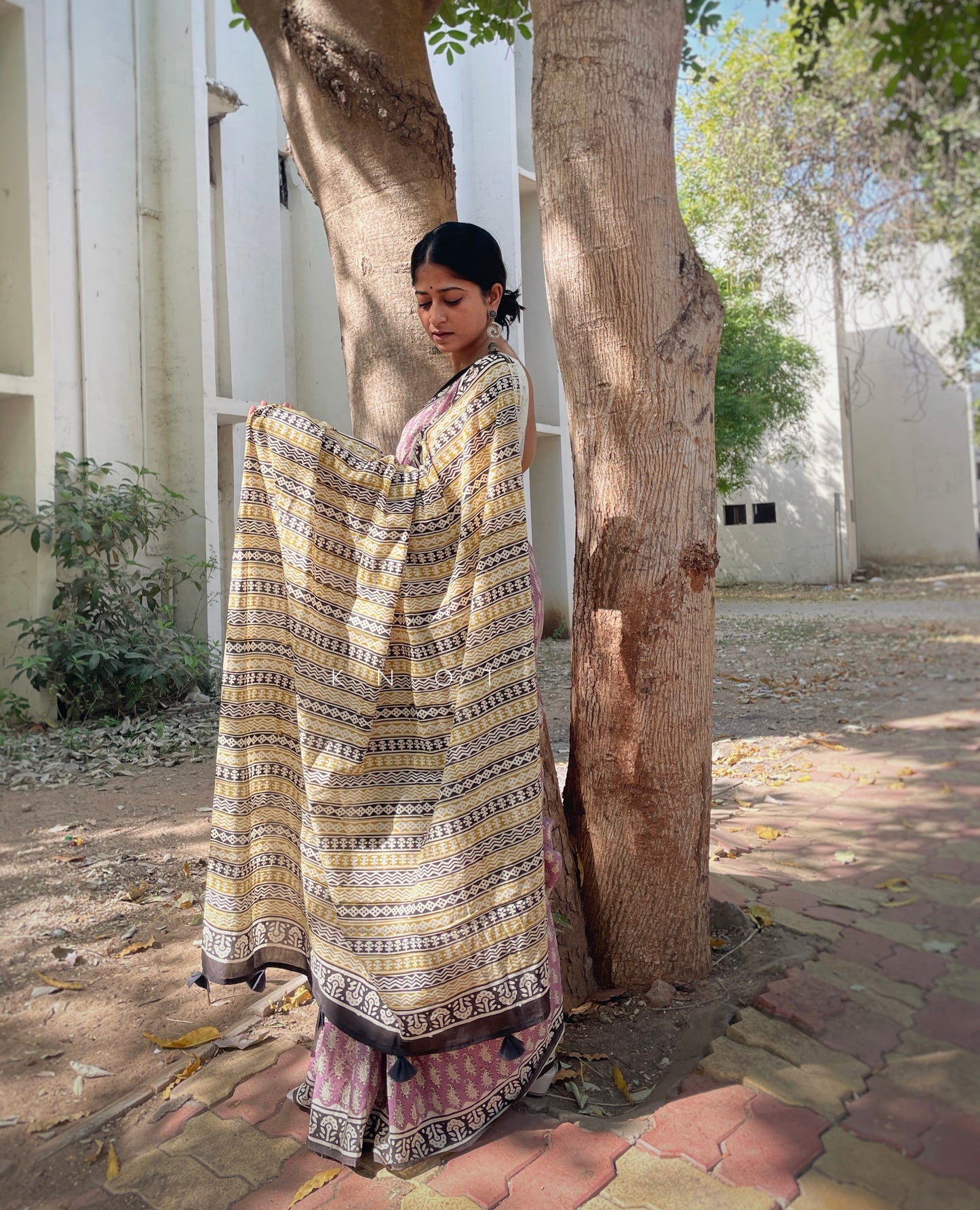 Wisteria Saree