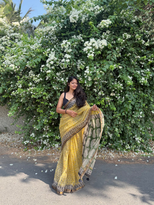 Sun love Saree