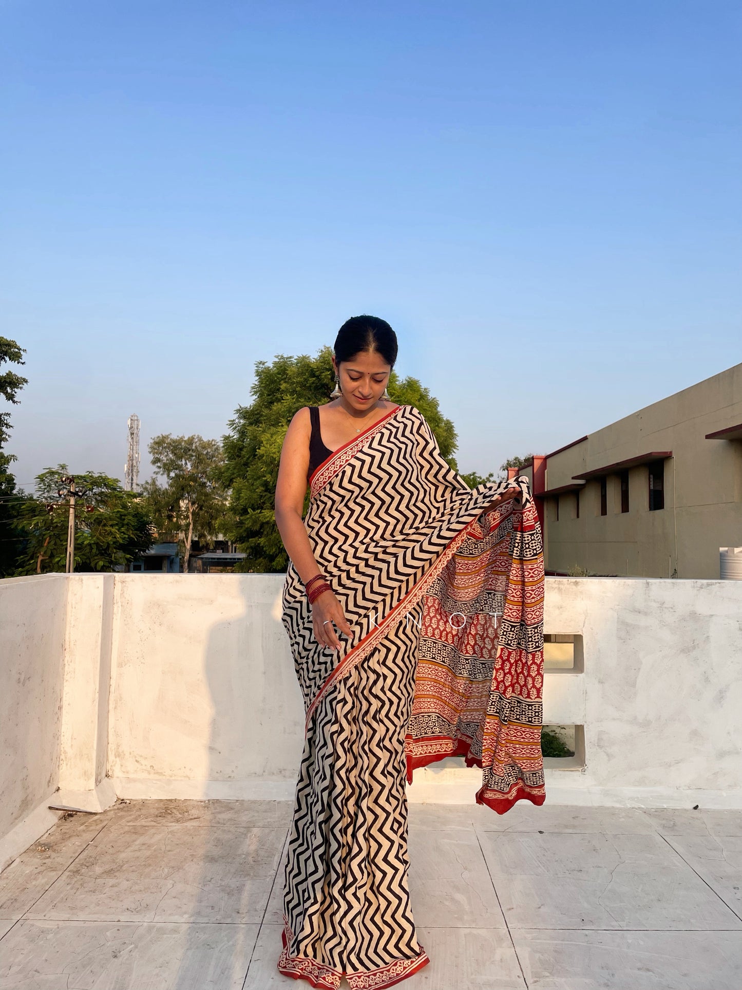 Classic Chevron Saree