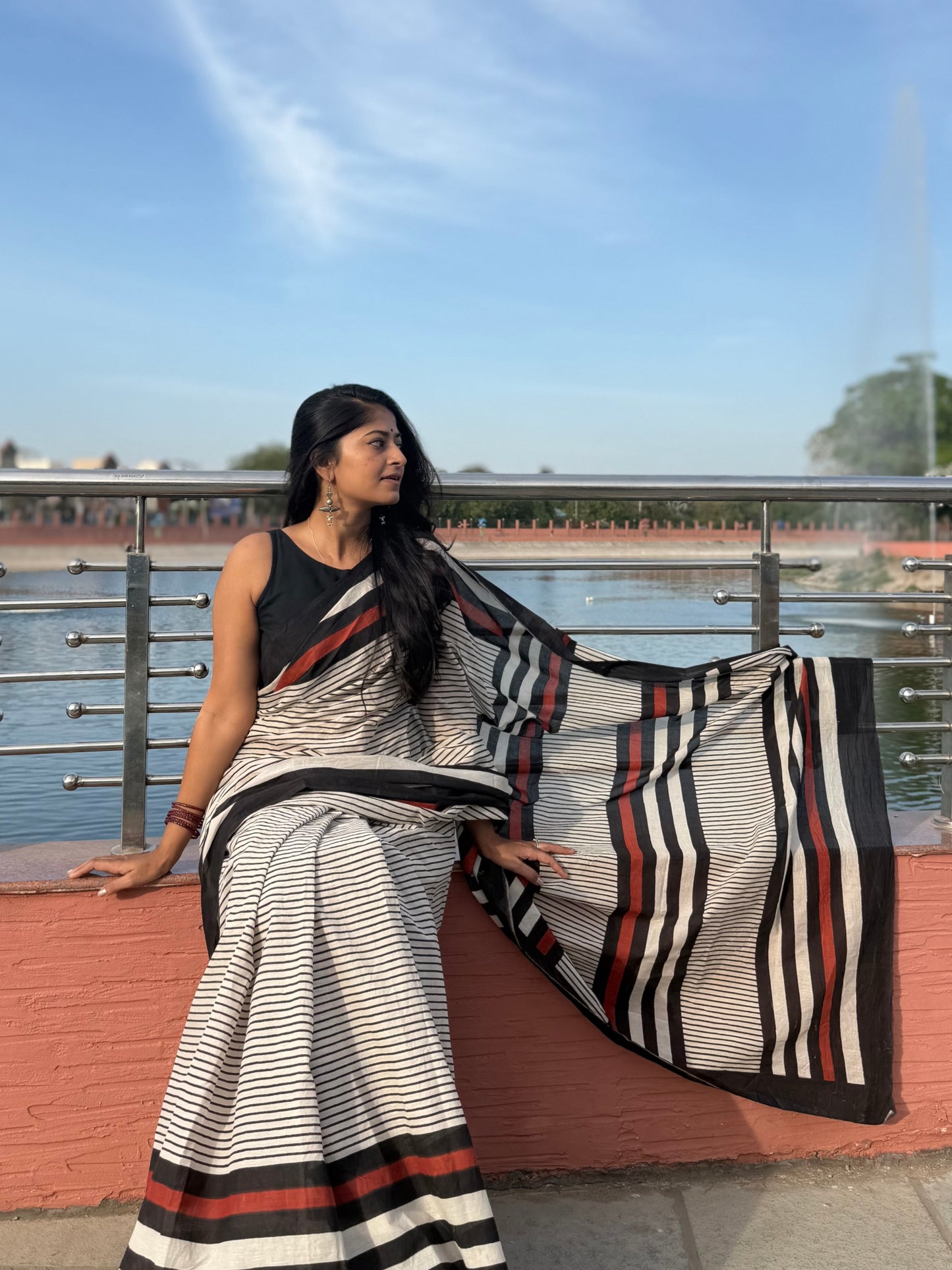 Charcoal Stripe Saree