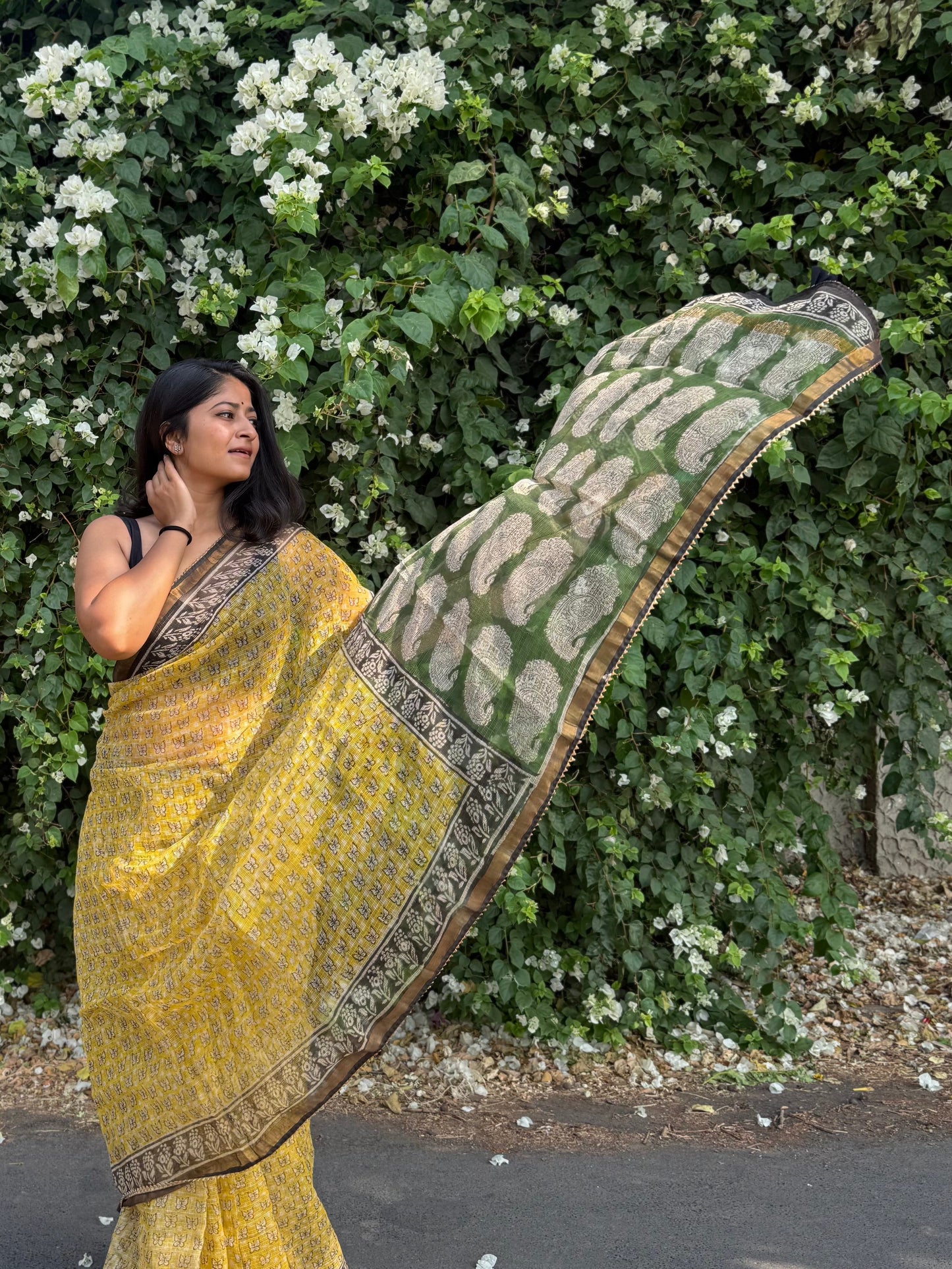 Sun love Saree