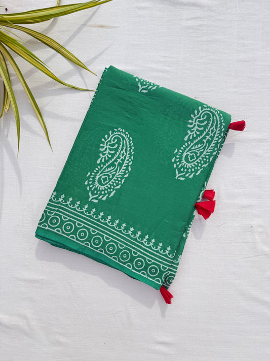 Paisley Garden Saree