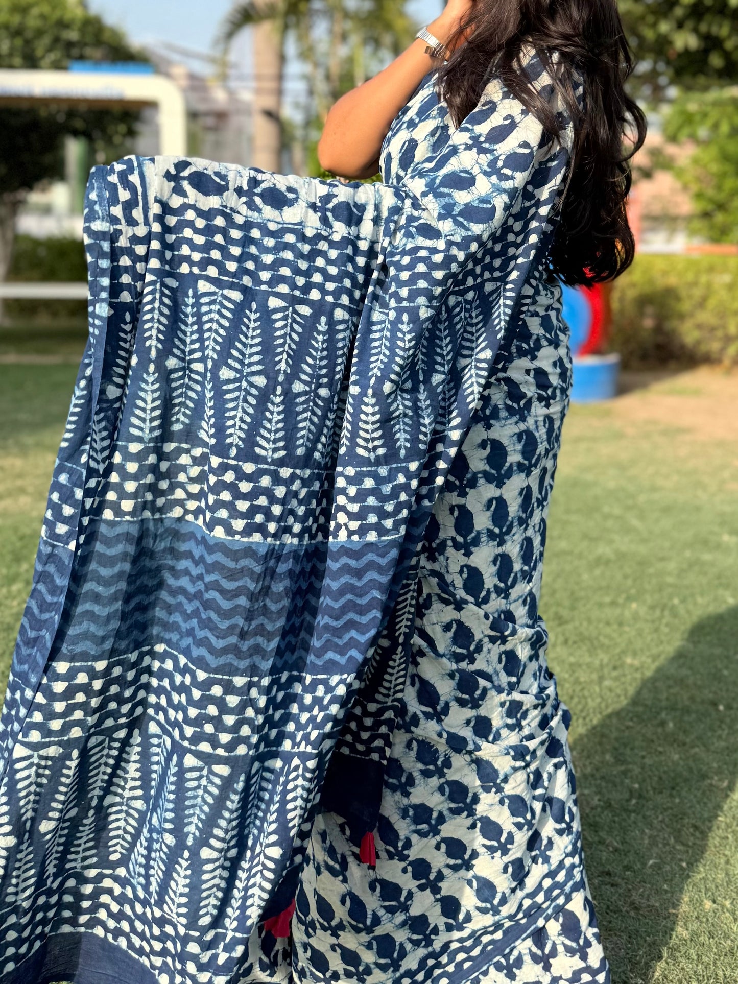 Paisley Bloom Saree