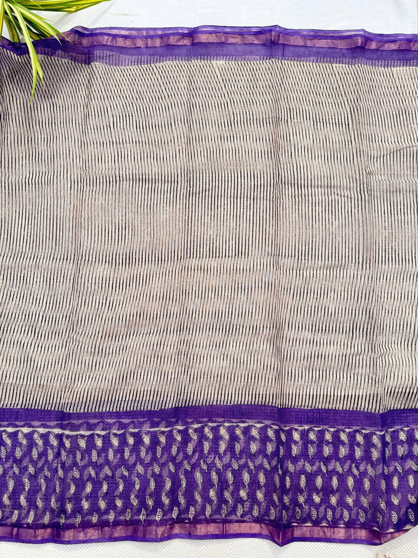 Striped Plum Saree