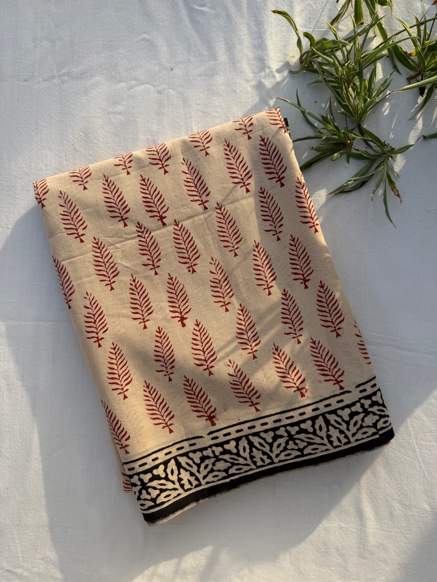 Beige Muse Saree
