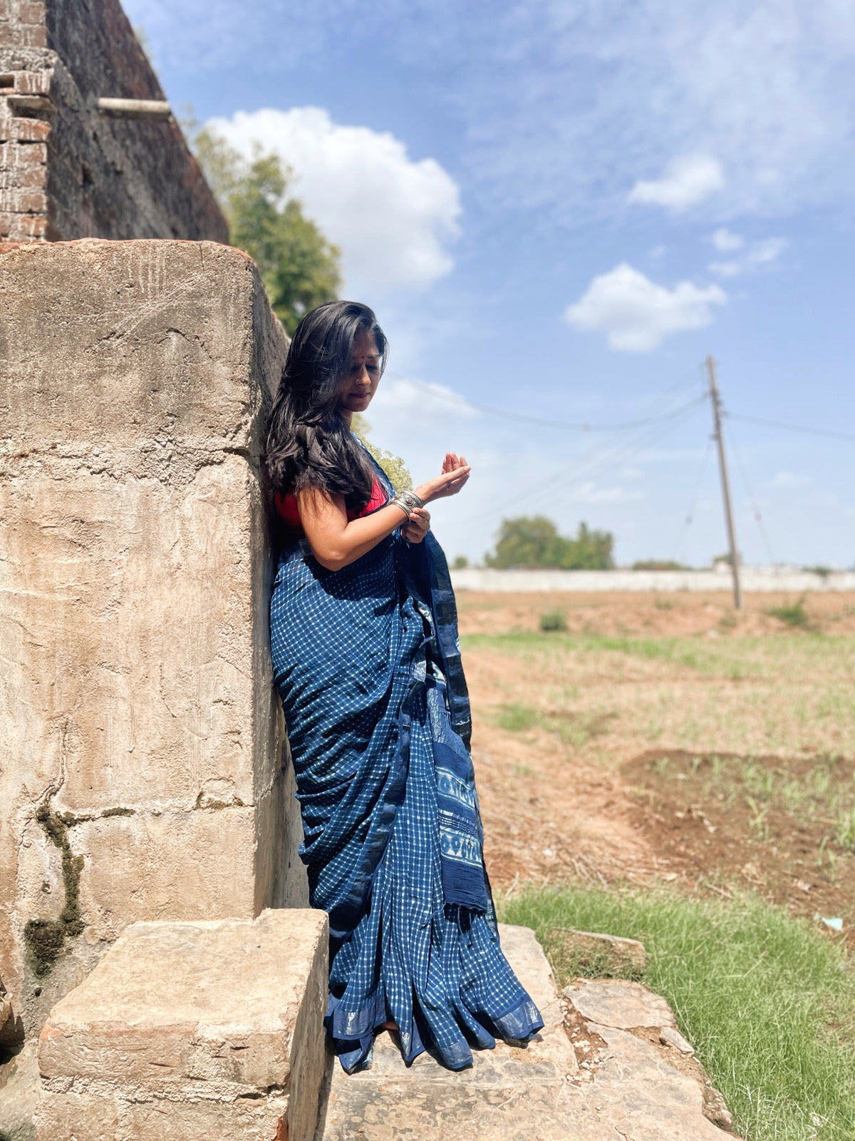 Indigo Graph Saree