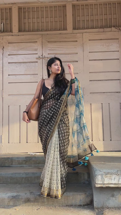 Raven Sea Saree